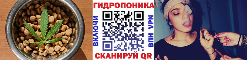 блэк спрут tor Невинномысск Еда ТГК конопля