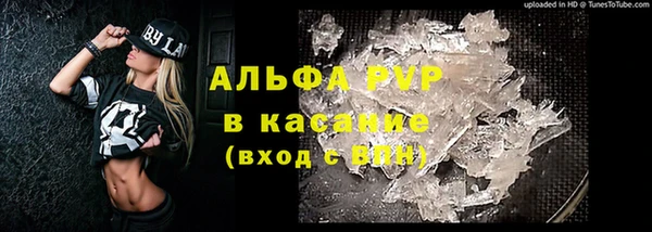ГАЛЛЮЦИНОГЕННЫЕ ГРИБЫ Заводоуковск