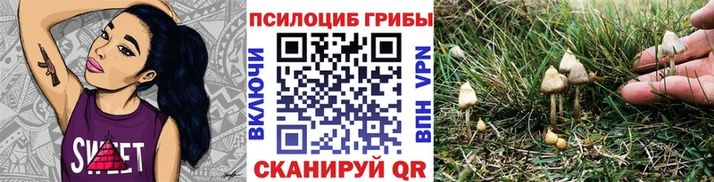 Галлюциногенные грибы Cubensis  Невинномысск 