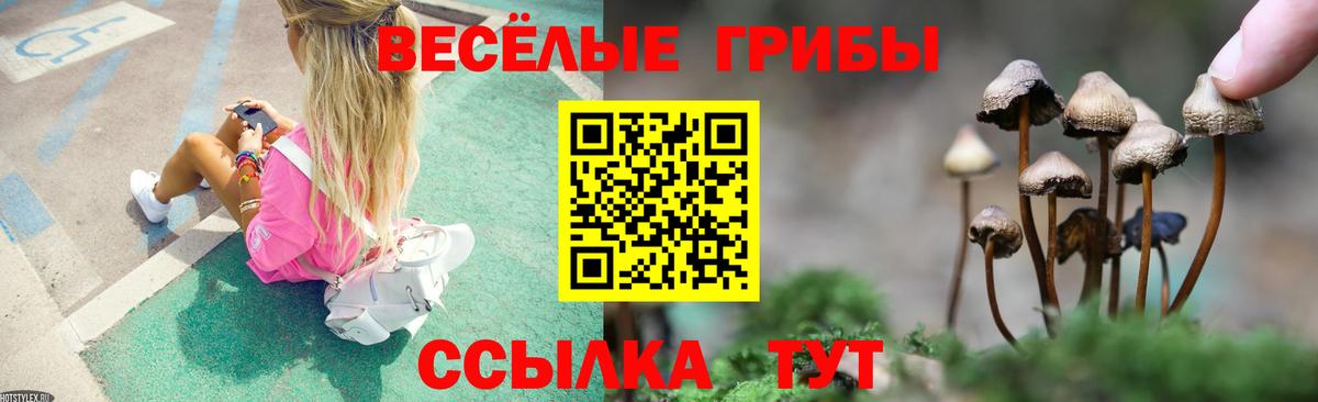 Галлюциногенные грибы мухоморы Невинномысск